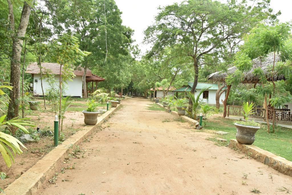 King'S Elephant Cabanas & Restaurant Тангалла Экстерьер фото
